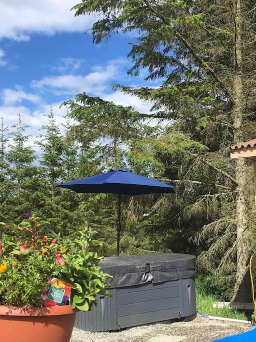 Bankhead Accommodation With Hot Tub Aberdeenshire Gamrie 외부 사진